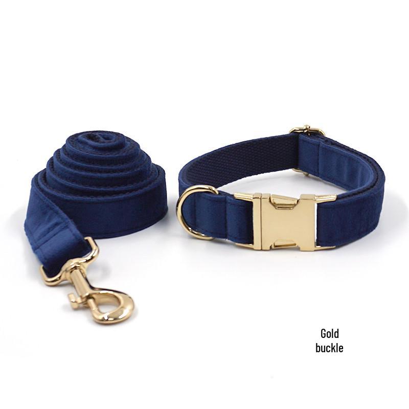 Premium Dark Blue Velvet Dog Collar with Gold Buckle XL