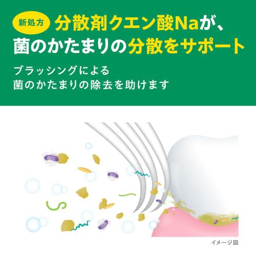 Gum and Dental Paste 120g ()