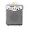 MusicMate MM-SK100 Apex Flex Karaoke Set