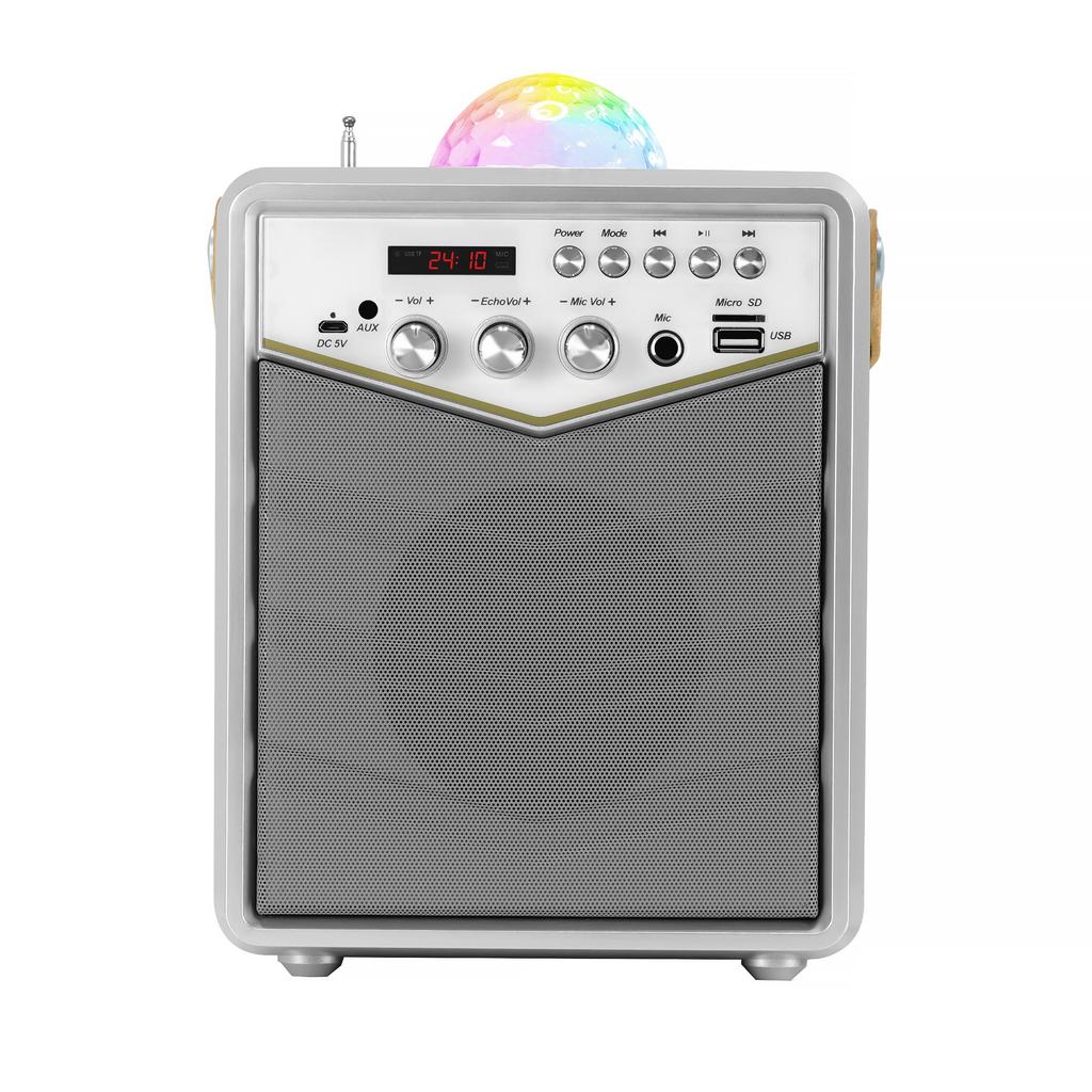 MusicMate MM-SK100 Apex Flex Karaoke Set