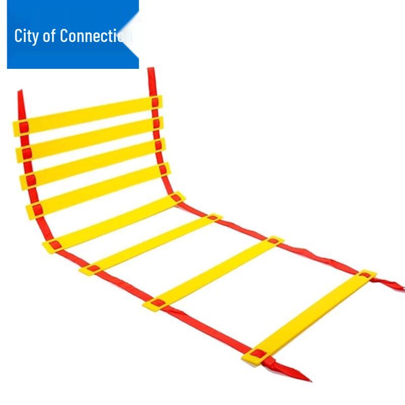 Agility Training Ladder