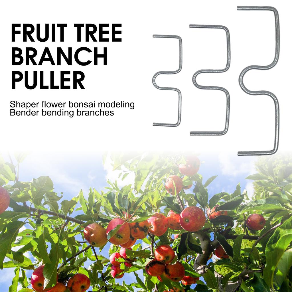 30pcs Fruit Tree Branch plant Supports Pressing Spreader Improve Production of the Fruit for Spreading Crotch Angles Branches