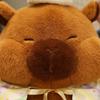 Cute Christmas Capybara Doll Plush Toy Doll Christmas Decoration Doll Ornament Children's Gift