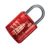 Cadenas Transparent Géant - Kit De Fabrication