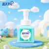 Blue Moon Fresh Fruit Mint Foaming Antibacterial Hand Soap 255ml