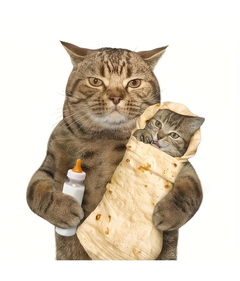 Burritos Tortilla Blanket Soft Plush Food Throw Blankets For Bed Sofa Bedspread Decorative Camping Picnic Winter Warm Blanket