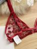 Sexy 3D Embroidered Floral Bra and Panty Set - Erotic Lingerie 2049