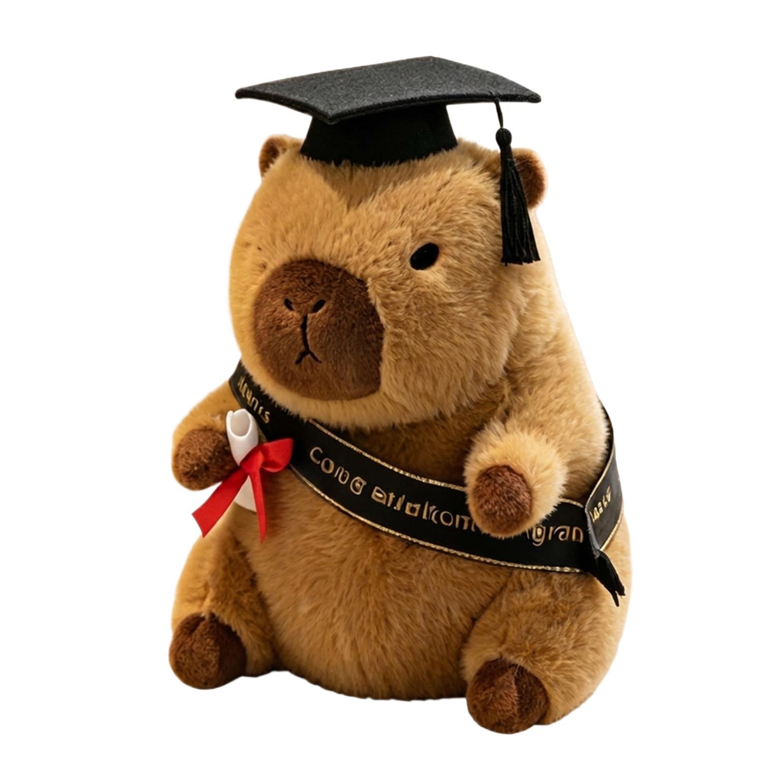 

Graduation Plush Toy Gift, 2026 Kindergarten Graduation Gift, Suitable For Boys And Girls, Graduation Plush Toy, Graduation Party Gift. One Size чёрный