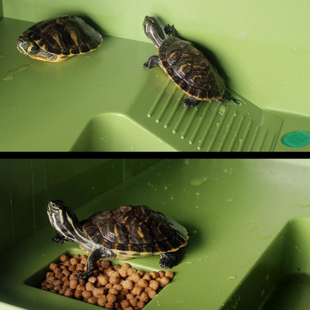 Climbing Platform Turtle Ladder Turtle Habitat Reptile Floating Island Turtle Basking Platform