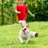 Pet Funny Toys Cigar Big Smoke Plush Sound Squeak Fake Cigarettes Toys Dog Chew Molar Interactive Game Bite Resistant Pet Toy