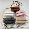 Trendy 2023 Spring Summer Casual Small Shoulder Bag For Women Simple Stylish Design