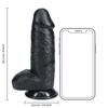 RealRock - Extra thin realistic dildo with testicles 20.3 cm