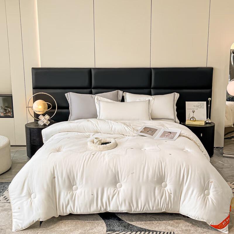 

Shanshan Aivi er Luxury Embroidered Winter Quilt