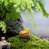 Miniature Birds Micro Landscape Bonsai Succulent Plants Mini Garden DIY Decor