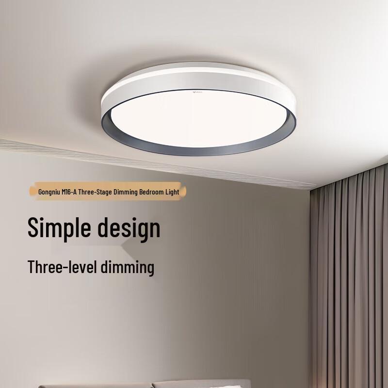 BULL Minimalist 3-Color Dimmable LED Ceiling Light