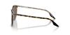 Sunglasses RB2204F HAVANA ON TRANSPARENT 54 Ray-Ban