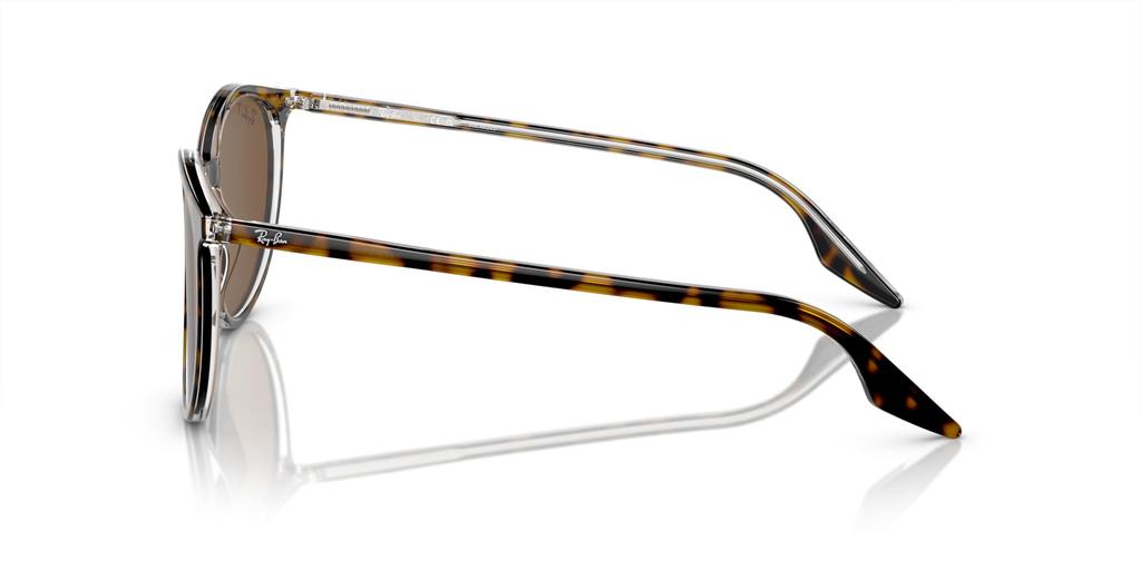 Sunglasses RB2204F HAVANA ON TRANSPARENT 54 Ray-Ban