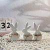 Silicone Eggs Rabbits Mould for Craft Projects Festival Decoration and Home Garden Ornament