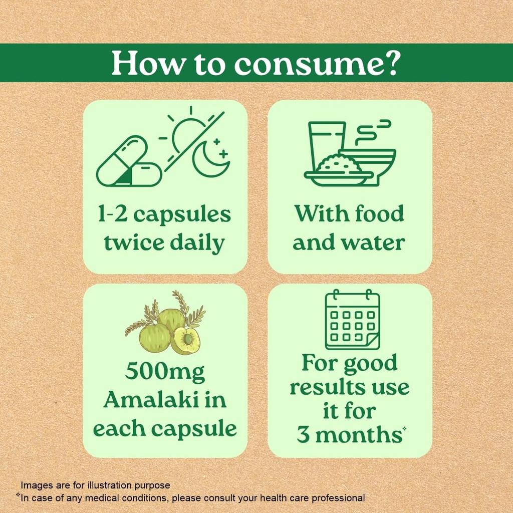 ORGANIC INDIA Amalaki Veg Capsules Natural Wellness Supplement For Daily Vitality And Energy Support With Antioxidant Benefits 60 Capsules