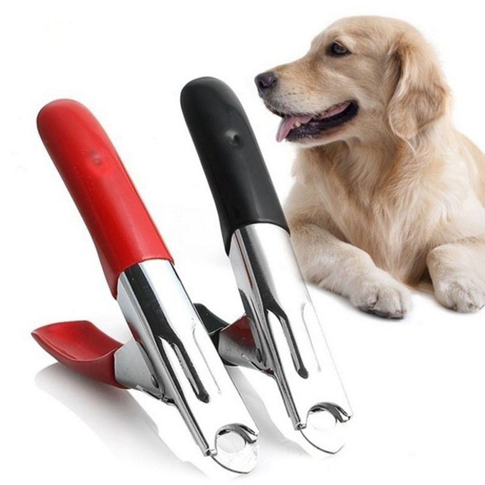 Buy Grooming Cat Dog Nail File Kit Scissors Nail Clippers Cutter Pet