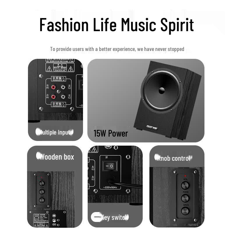 SAST SM-1600 2.0 Multimedia Active Speakers (CN version)