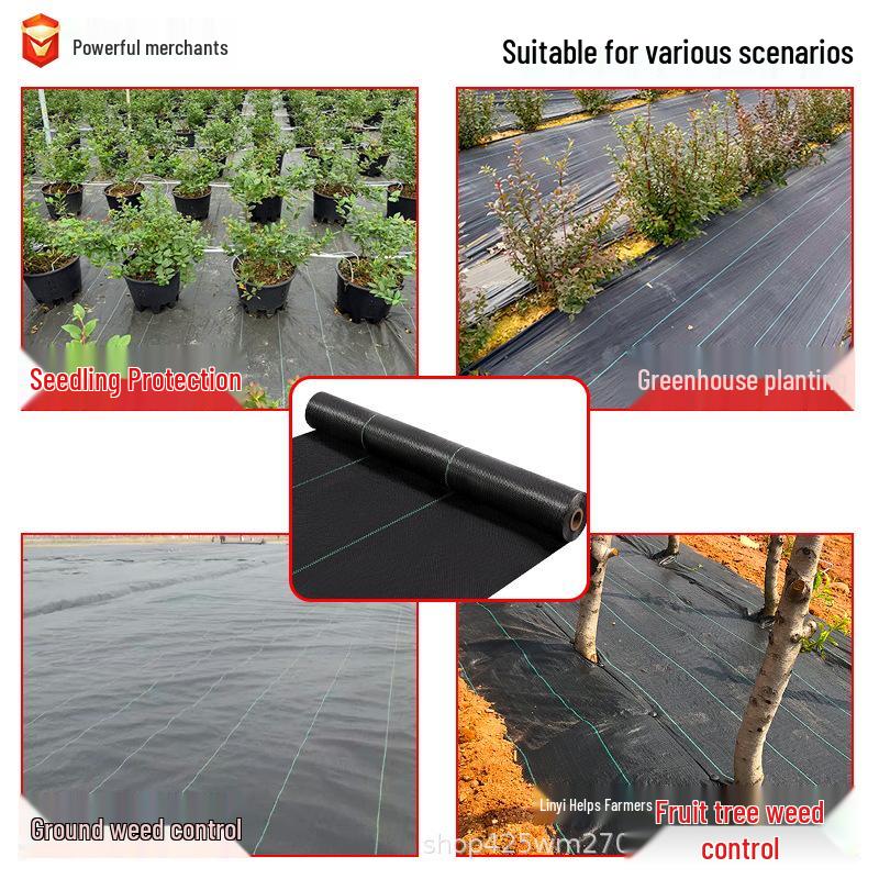 Black PP Weed Barrier Cloth: Breathable, Water-Permeable Ground Cover for Orchards and Gardens