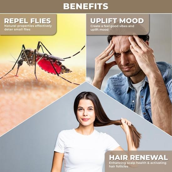 100% Pflanzliches Pfefferminz-Ätherisches Öl für Haarwachstum | Vertreibt Ratten & Ameisen auf natürliche Weise | Reines & Bio-Pfefferminzöl für Lippen, Haut & Aromatherapie