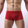 Ultra-thin Solid Color Translucent Breathable Briefs Bulge Pouch Men Underwear