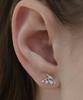 Tatiana (Silver 925) Larme Fleur Earrings Ec3197