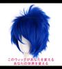 CaseEden Cosplay Wig, Premium Short, 30cm, Blue, WIG5530