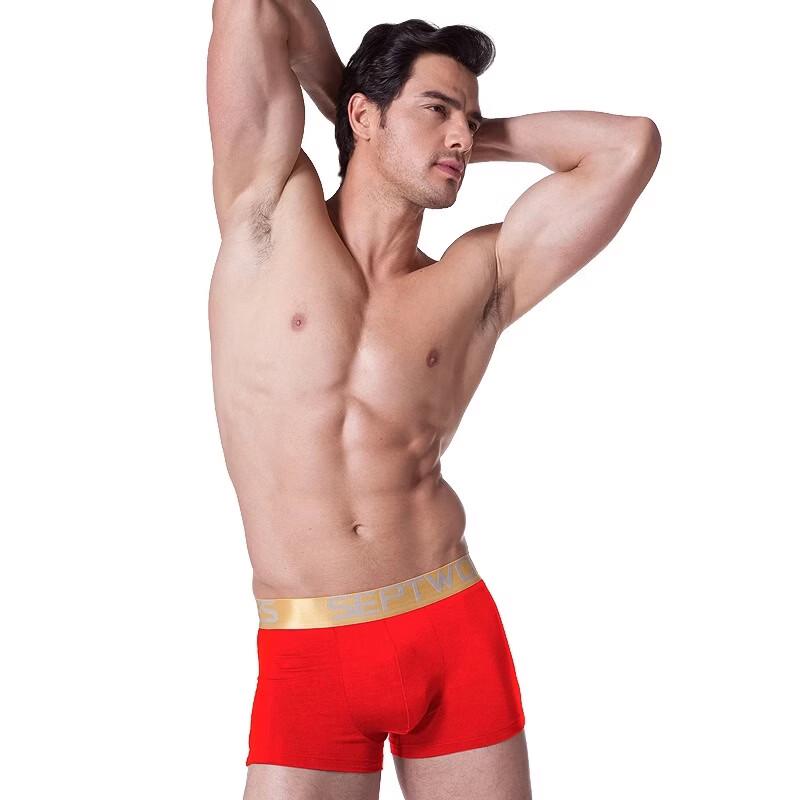 Sevenwolves Men's Wide Waistband Boxer Briefs
