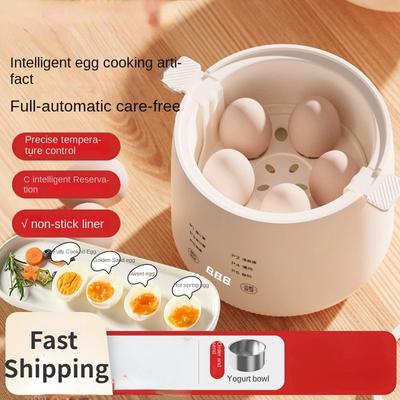 220V Home Electric Egg Boiler Multifunctional Breakfast Machine Household Egg Steamer