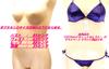 Remote Rotor Micro Bikini with Pocket Tiny Sexy Lingerie Extreme Cosplay Swimsuit Underwear B4HB Purple F [Cat Select] T-Back