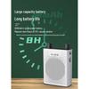 W-King KS06 Portable Voice Amplifier with Wireless Microphone CN Plug (adapter Included)