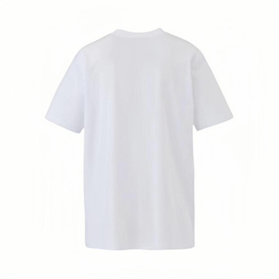 ONITSUKA TIGER SS Tee Series Plain Logo Round Neck Comfortable Fashion Short Sleeve T-Shirt Unisex Tops White 2183B381-100