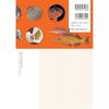 How Create Natural History Specimens