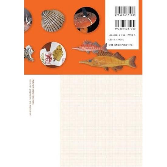 How Create Natural History Specimens