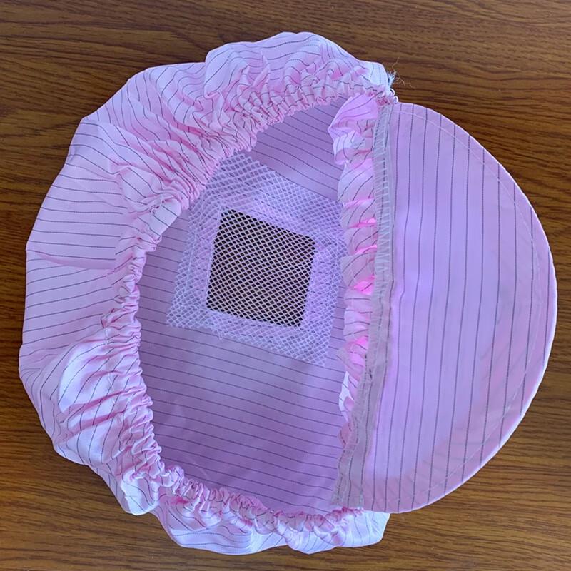 Anti-static Dustproof Mesh Work Hat