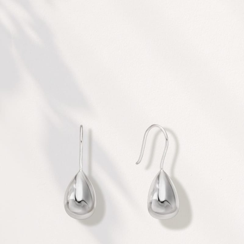 Ozel Silver925 Glossy Teardrop Fish Hook Earrings ES179E