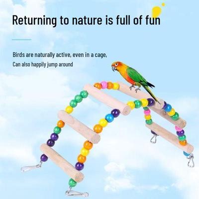 Swing Climbing Ladder & Chew Toy for Parrots, Budgies, and Cockatiels 