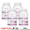 Echinacea-Kapseln, 400 mg natürliche Pflanzenextrakte, Immununterstützung, Nahrungsergänzungsmittel