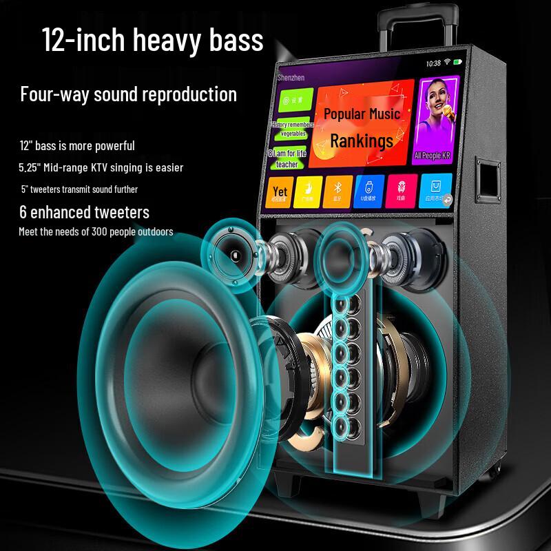 SAST Portable Karaoke & Video System with Screen CN plug (adapter included) (CN version)