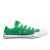 Chuck Taylor All Star Sketch Green Low-Top Canvas Shoes A08526C
