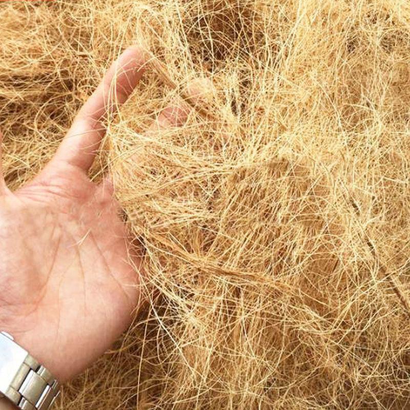 50g Coconut Palm Silk Coconut Shell Silk Greening Covering Potted Coconut Silk Paving Decorative Bird's Nest Bedding Breathable Grass Silk