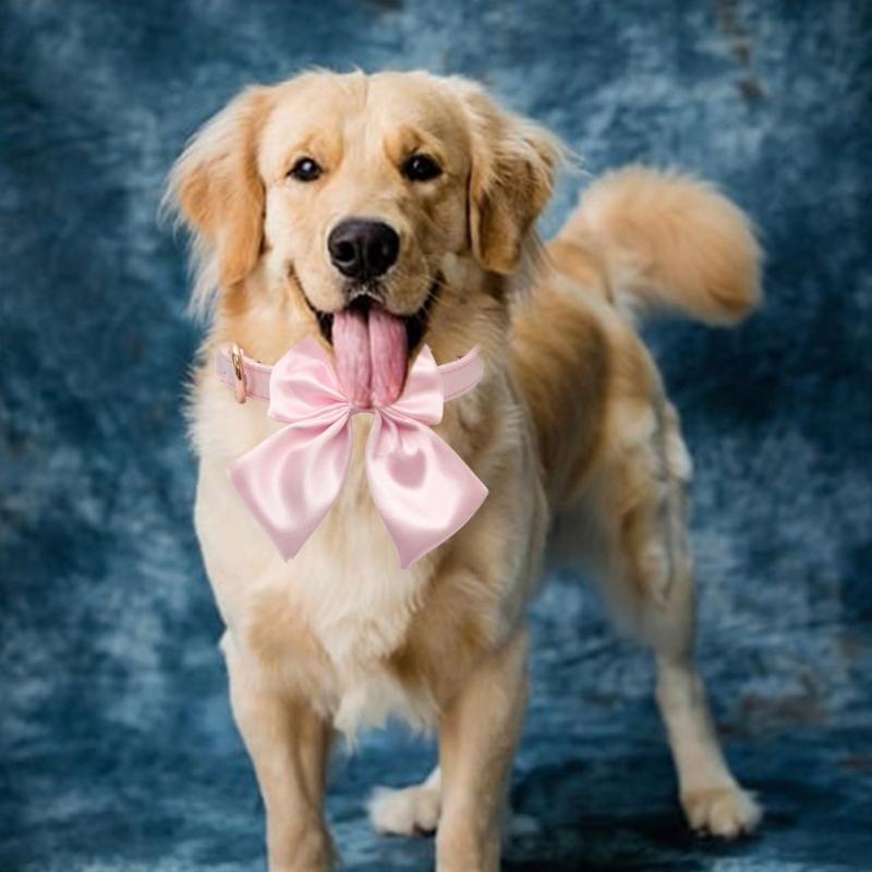 Pet Collar for Small Pet Woven Collar for Daily Walking Soft and Comfortable with Metal Buckle Elegant Collar Neckwear