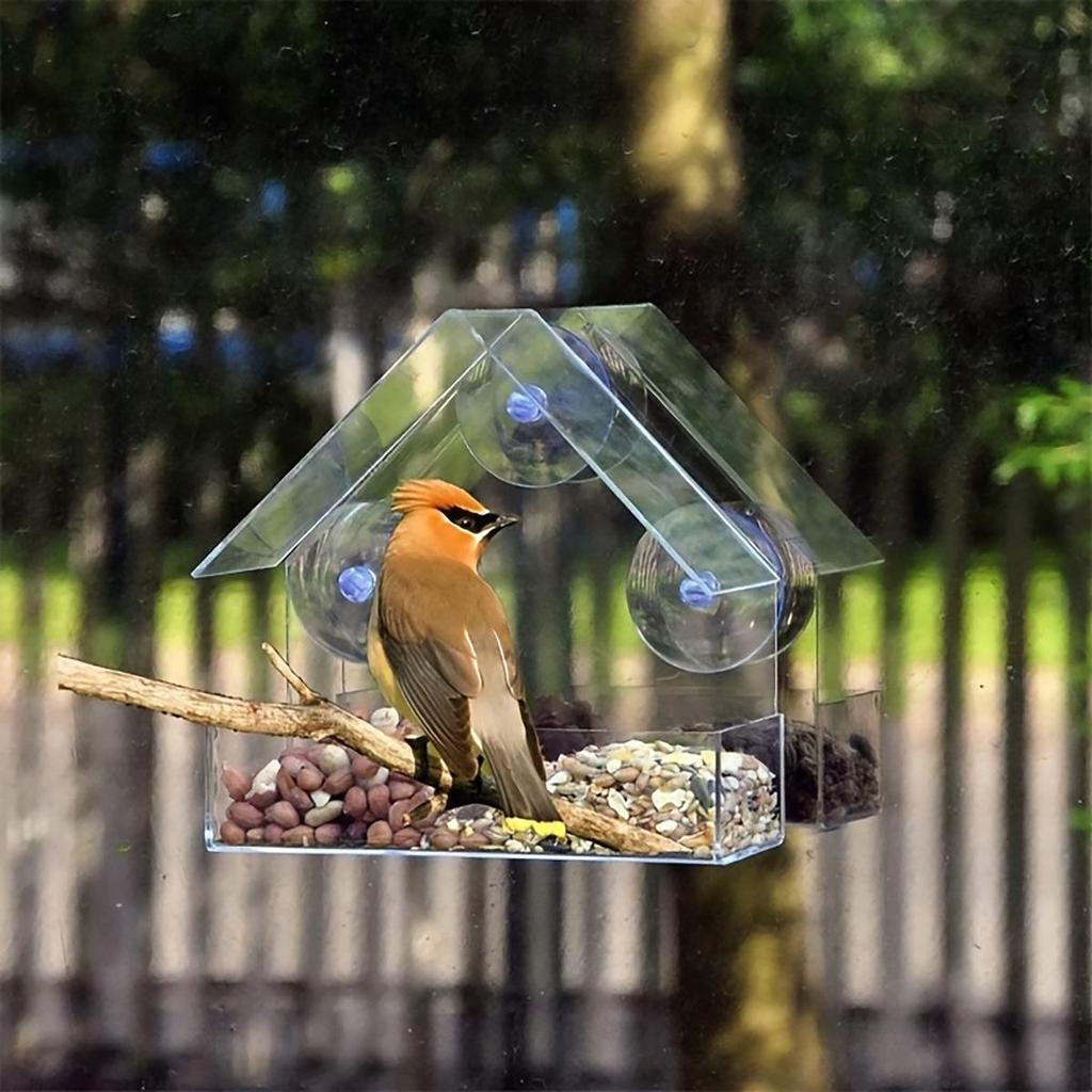 Clear Acrylic Wall-Mounted Bird Feeder with Suction Cups