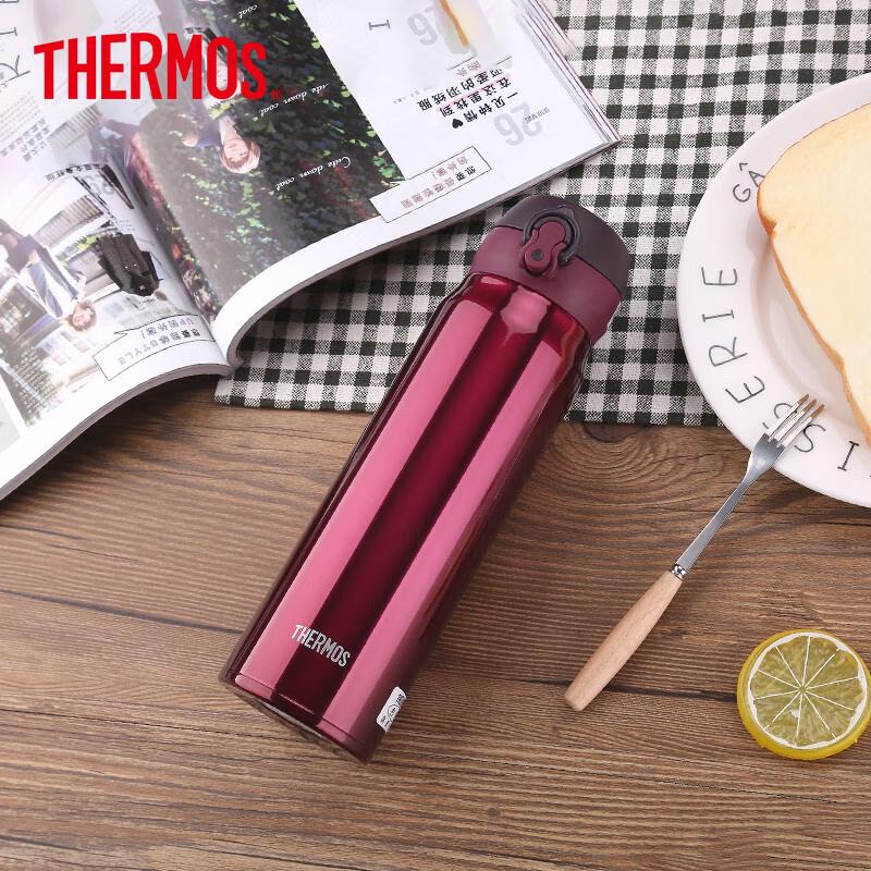 Thermos JNL-600 Insulated Water Bottle