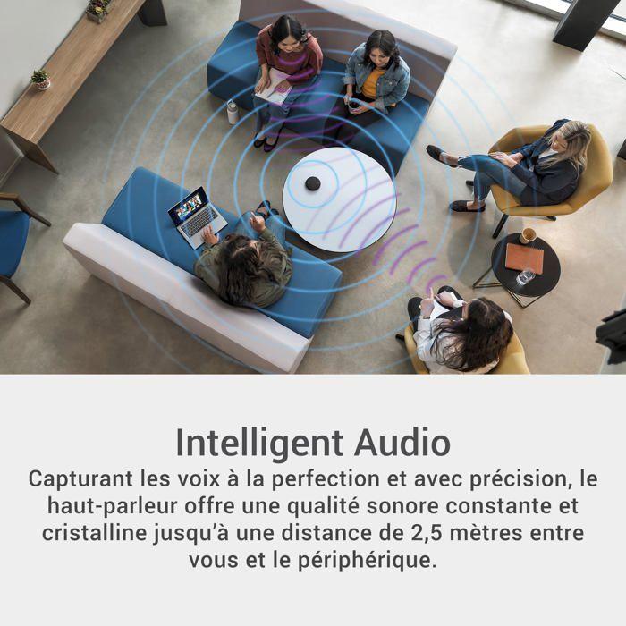 Enceinte Bluetooth Portable - Dell - SL525 - Réduction de Bruit AI - 12h Batterie - IP64