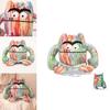The Color Monster Plush Toy Soft And Huggable 15cm 25cm 35cm Options