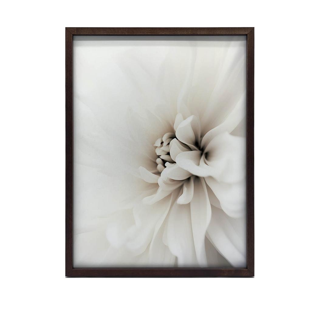 Delicate White Dahlia Delicate White Dahlia, 30X40 Cm, Dark Brown Wooden Frame, 230 Gsm Matte Paper